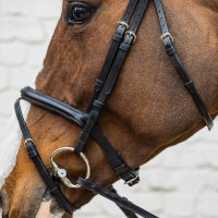 Bridão com muserola combinada média em couro macio Dy'on Preto