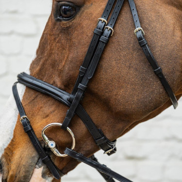 Bridão com muserola combinada média em couro macio Dy'on Preto