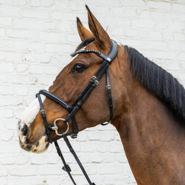 Bridão com muserola combinada média em couro macio Dy'on Preto