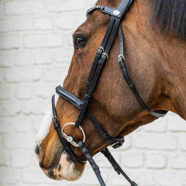Bridão com muserola combinada média em couro macio Dy'on Preto