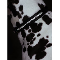 Coleira para cão Equestrian Stockholm com strass Edição preta Preto