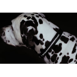 Coleira para cão Equestrian Stockholm com strass Edição preta Preto