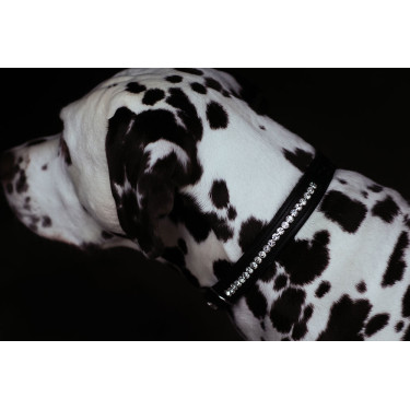 Coleira para cão Equestrian Stockholm com strass Edição preta Preto
