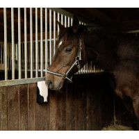 Pedra de lamber retangular...