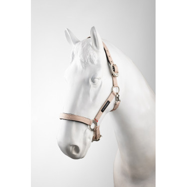 Caveção Hardwick B Vertigo Rosa sépia