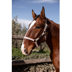 Caveção Hardwick B Vertigo Rosa sépia