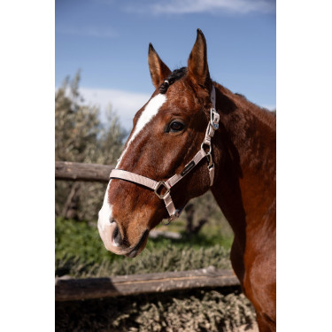 Caveção Hardwick B Vertigo Rosa sépia