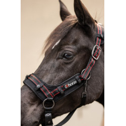 Cabresto Cairo Infra-Vermelho Horze Cinza antracite escuro Cinzento