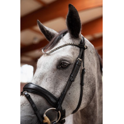 Cabeçada slim Horze Delémont Caviar preto