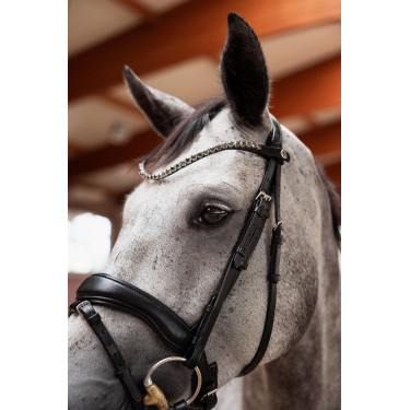 Cabeçada slim Horze Delémont Caviar preto