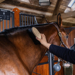 Escova clássica longa e macia de madeira Grooming Deluxe Preto Escova clássica longa e macia de madeira Grooming Deluxe Preto