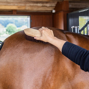 Escova dura Wooden Classic Medium Grooming Deluxe Castanho Escova dura Wooden Classic Medium Grooming Deluxe Castanho