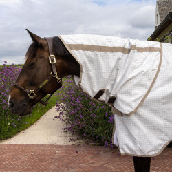 Capa antialérgica e de verão Comfort Kentucky Branco Capa antialérgica e de verão Comfort Kentucky Branco