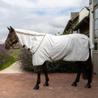 Capa antialérgica e de verão Comfort Kentucky Branco Capa antialérgica e de verão Comfort Kentucky Branco