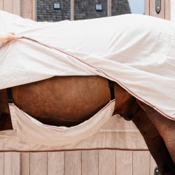 Capa anti-moscas Comfort Classic com cobertura de pescoço e ventre Kentucky Bege / bordô Capa anti-moscas Comfort Classic com cobertura de pescoço e ventre Kentucky Bege / bordô