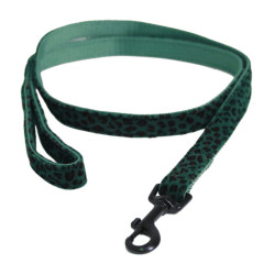 Trela para cão Leopard Kentucky Verde pinho