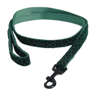 Trela para cão Leopard Kentucky Verde pinho
