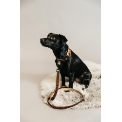 Trela para cão Leopard Kentucky Castanho leopardo