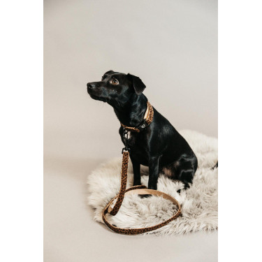 Trela para cão Leopard Kentucky Castanho leopardo