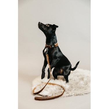Trela para cão Leopard Kentucky Castanho leopardo