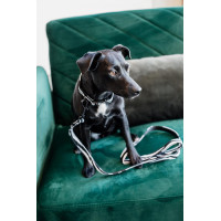 Trela para cão Zebra Kentucky Zebra Motivos