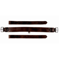 Cinta Notawa posterior Castanho