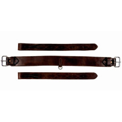 Cinta Notawa posterior Castanho