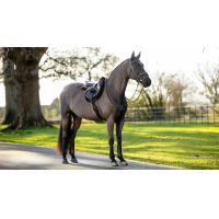 Tapete Hunter LeMieux Merino+ Castanho / castanho