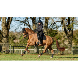 Tapete LeMieux ProSport Dressage SQ Liso com Alça Padrão Preto