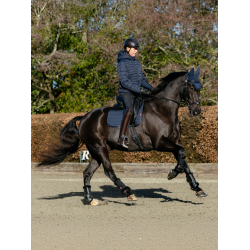 Tapete LeMieux ProSport Dressage SQ Liso com Alça Padrão Marinho Azul-marinho