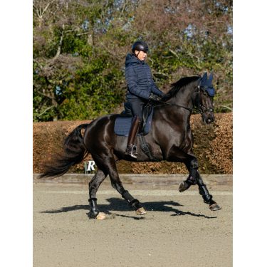 Tapete LeMieux ProSport Dressage SQ Liso com Alça Padrão Marinho Azul-marinho