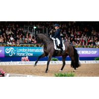 Tapete LeMieux ProSport Dressage SQ Liso com Alça Padrão Branco