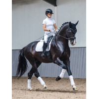 Tapete LeMieux ProSport Dressage SQ Liso com Alça Padrão Branco modelo antigo Tapete LeMieux ProSport Dressage SQ Liso com Alça Padrão Branco modelo antigo