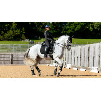 LeMieux Suede Dressage Square Reflective Azul-marinho LeMieux Suede Dressage Square Reflective Azul-marinho