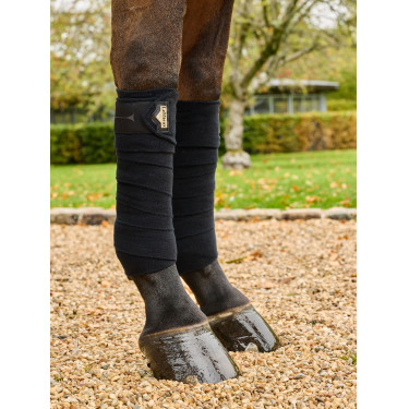 Bandagens de polo LeMieux Elevate Preto