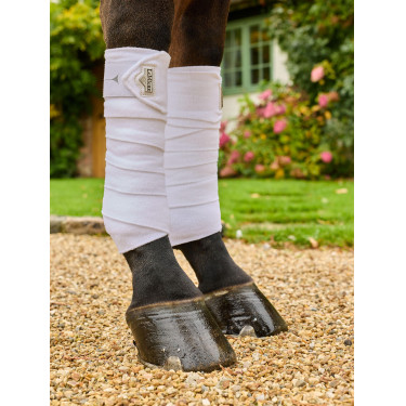 Bandagens de polo LeMieux Elevate Branco