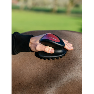 Escova de massagem LeMieux Preto