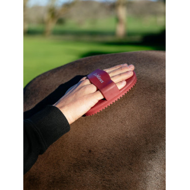 Escova de borracha LeMieux Vermelho