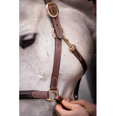 Caveção de couro com 3 mosquetões Paddock Sports Havana Castanho