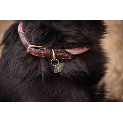 Coleira para cão Penelope Billie Rosa / lurex