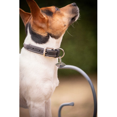 Coleira para cão Pénélope Olie Havana Castanho