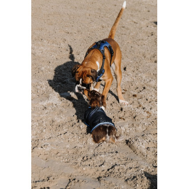 Arnês para cães RIDING WORLD - Simba Marinho Azul-marinho