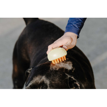 Etrilha Hippotonic Vapor Creme Bege Etrilha Hippotonic Vapor Creme Bege