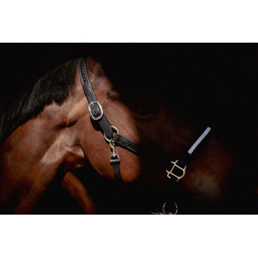 Caveção Pénélope Harmonie Preto