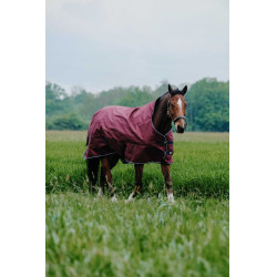 Cobertura Equithème TYREX 1200D High Neck Bordéus Bordô Cobertura Equithème TYREX 1200D High Neck Bordéus Bordô