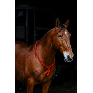 Cordinha Norton Vermelho