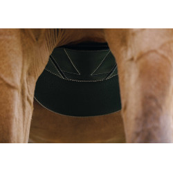 Cinta peitoral Magnet Norton Preto