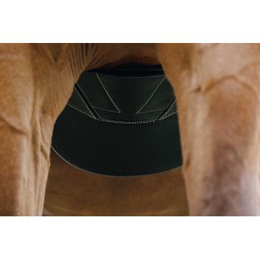 Cinta peitoral Magnet Norton Preto