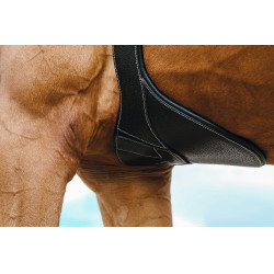 Cinta peitoral Magnet Norton Preto