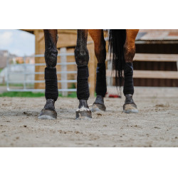 Bandagens de polo Equithème em conjunto de 4 Preto